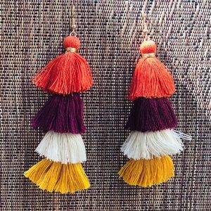 Multi fall color tassel earrings